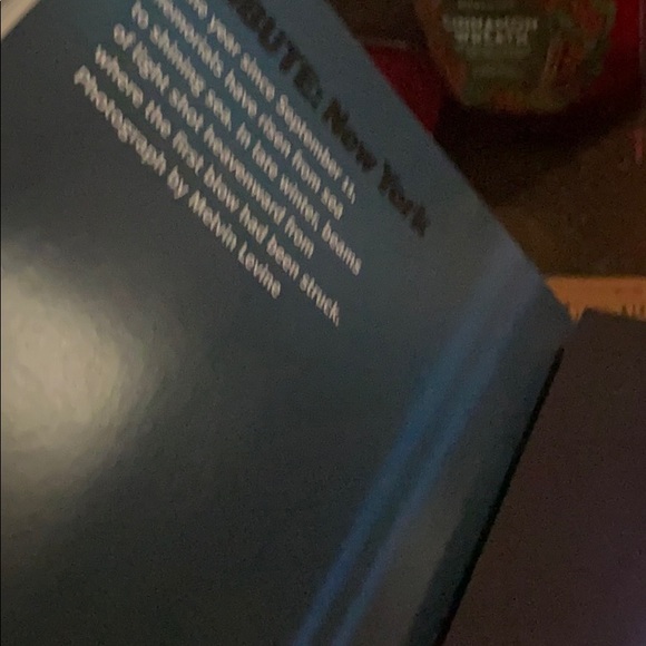 Life the American spirit meeting challenge of 911 - Picture 6 of 15